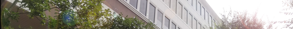 理知の杜　イメージ